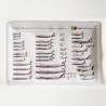 TAP fleet 1945-1992 -Metal Sign 20x30